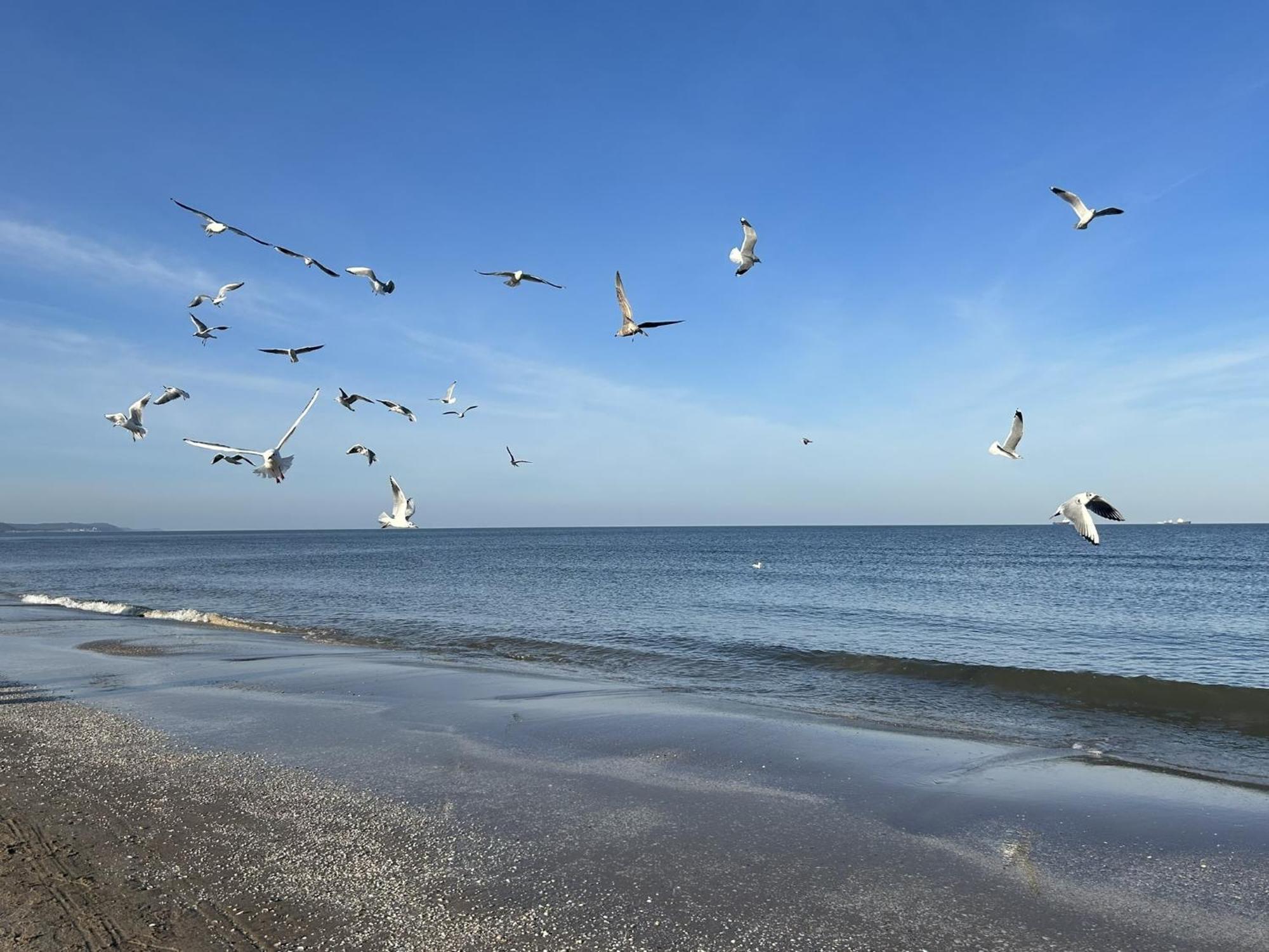 Pension Wald Und See Heringsdorf Zewnętrze zdjęcie